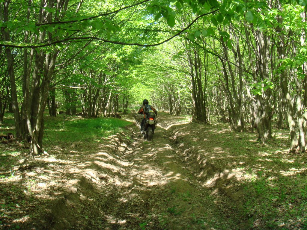 20070503-144108-MF.JPG