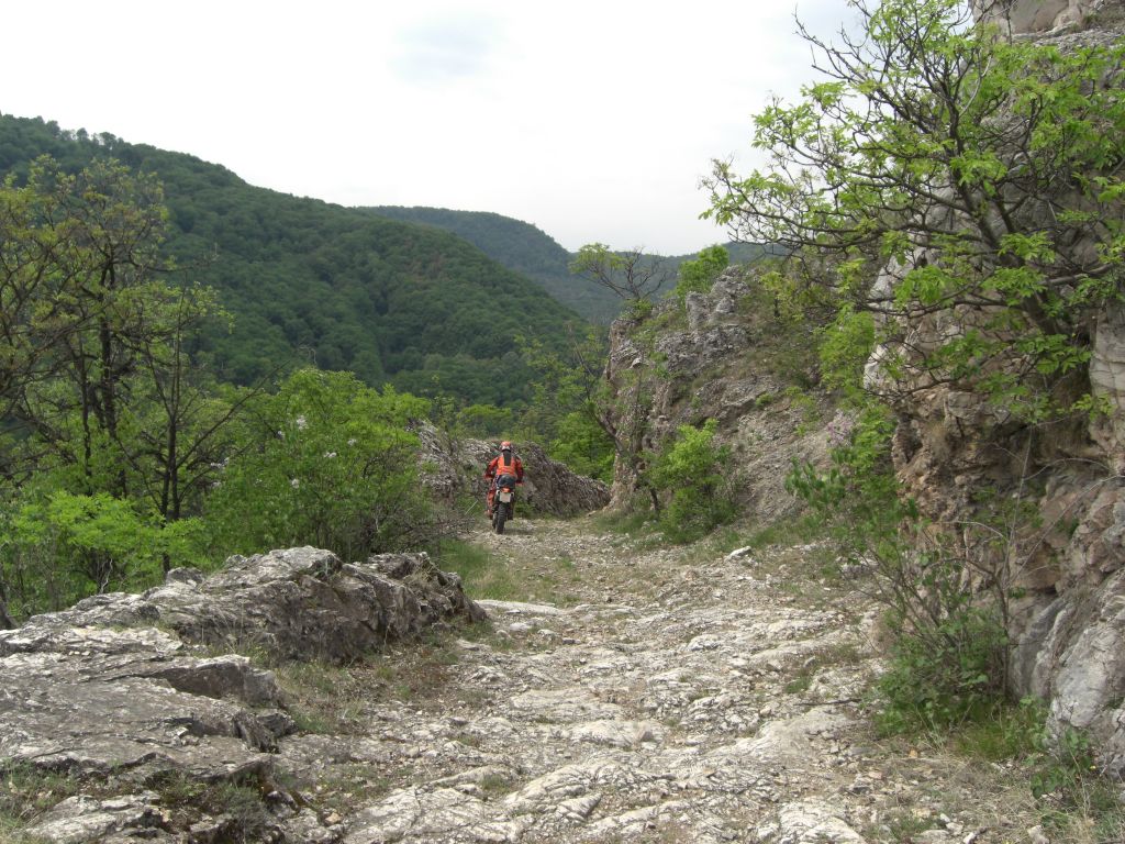 20070504-120242-MK.JPG