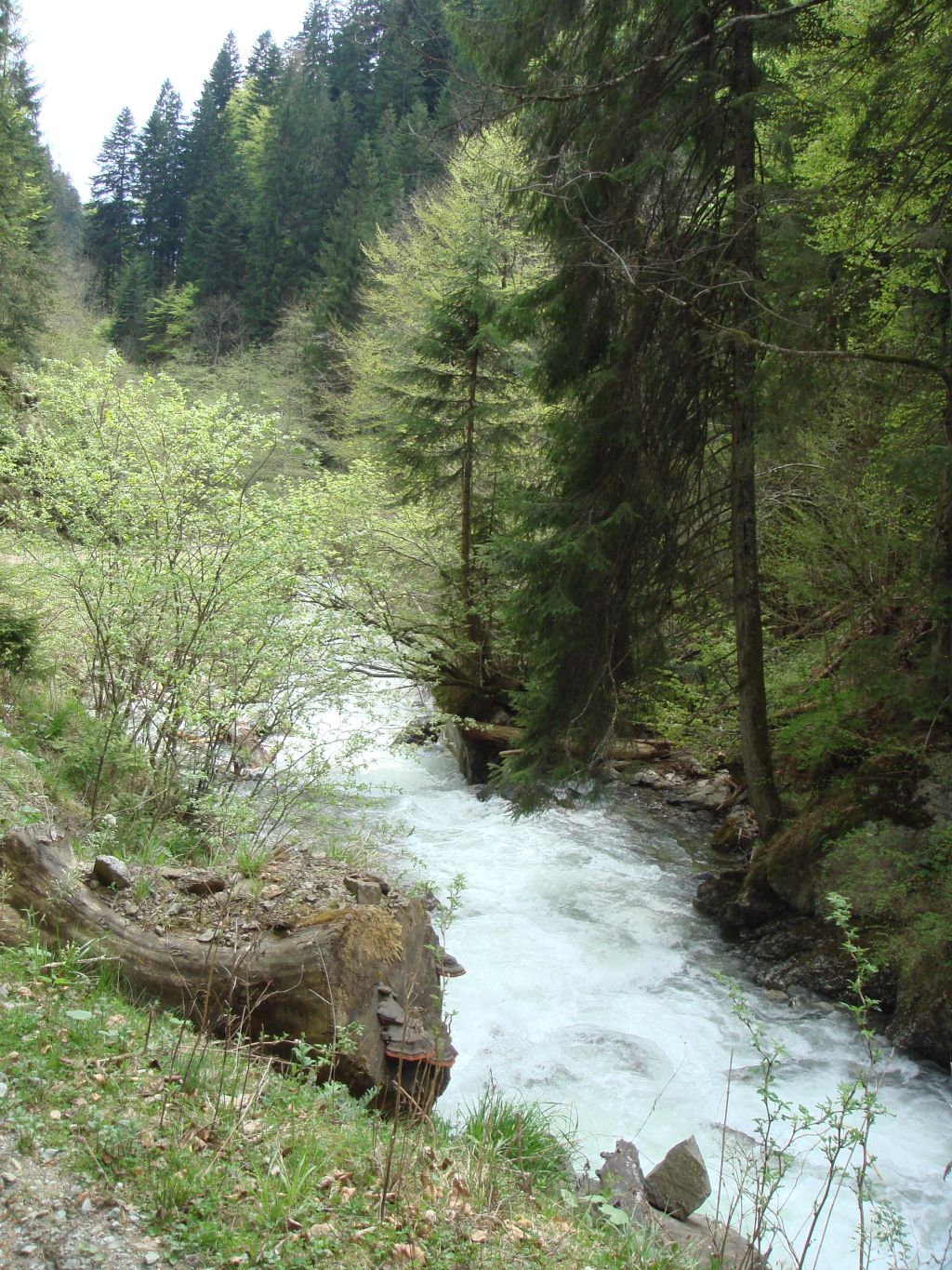 20070501-134930-MF.JPG