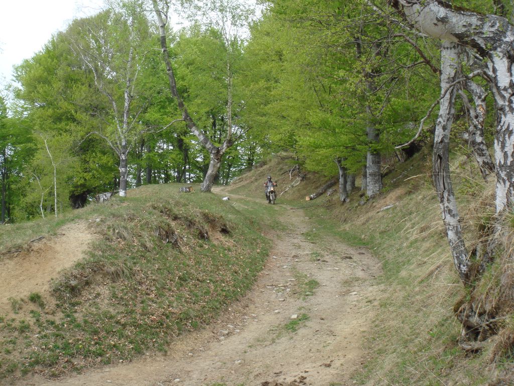 20070501-143856-MF.JPG