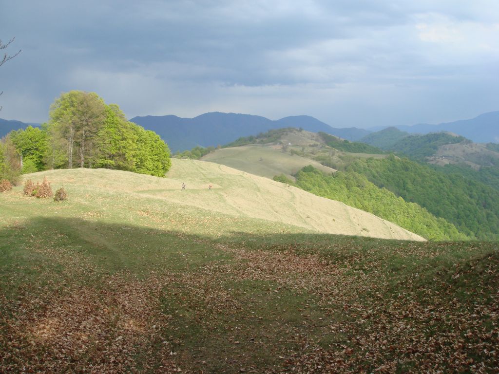20070501-162318-MF.JPG