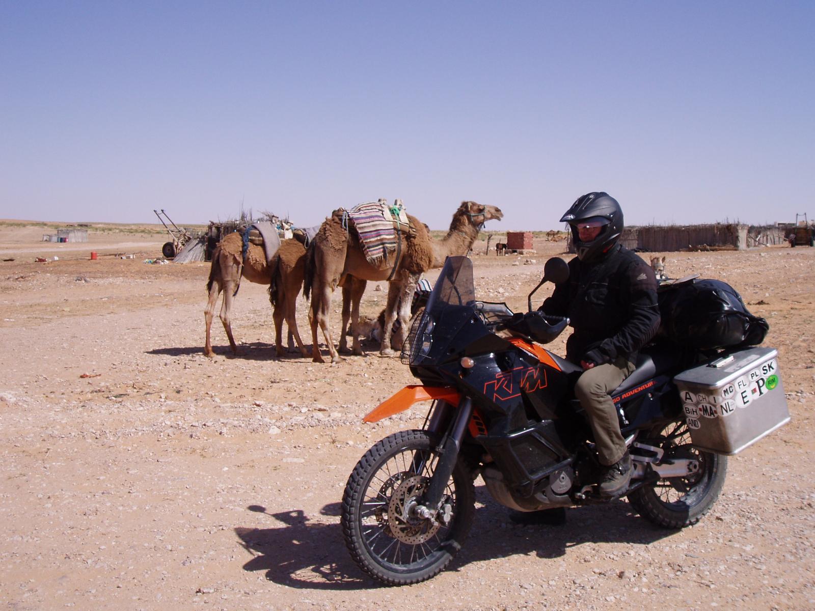 nahe Ksar Ghilane