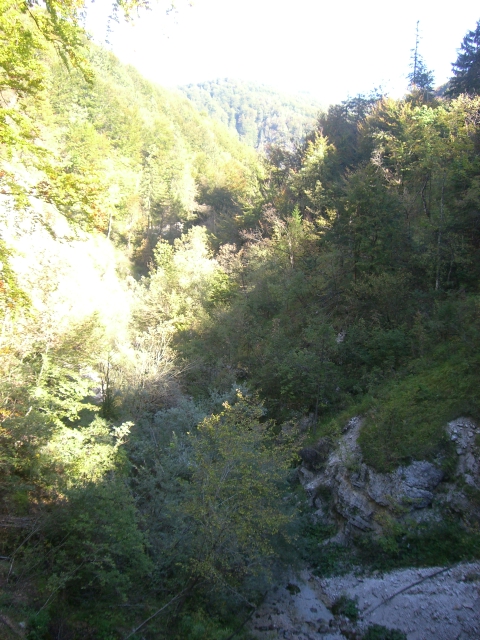 Der Slovenische Dschungel.JPG
