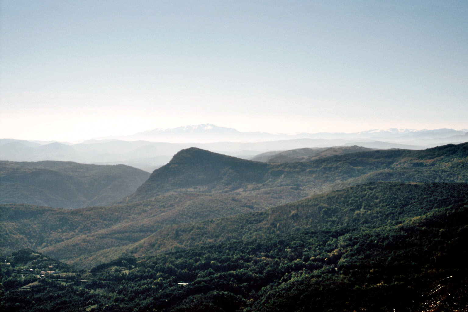imm002_N2.jpg