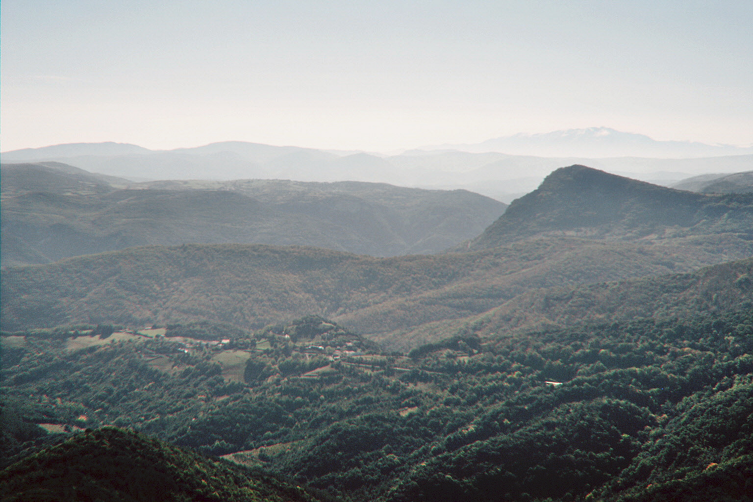 imm004_N4.jpg