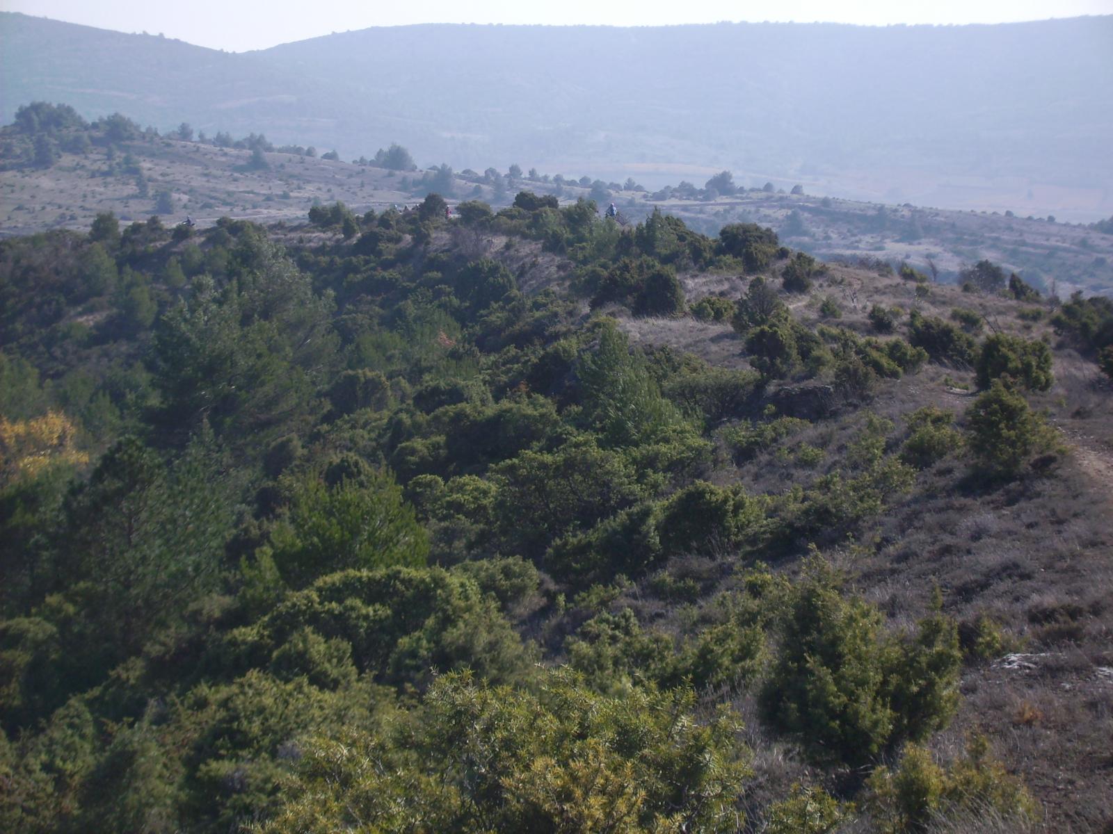 86.JPG
