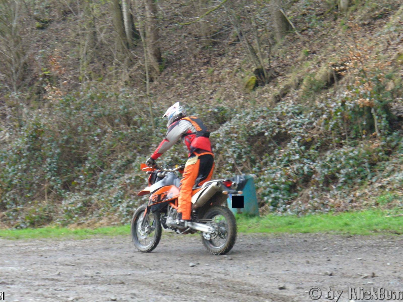 P1000036_1.jpg