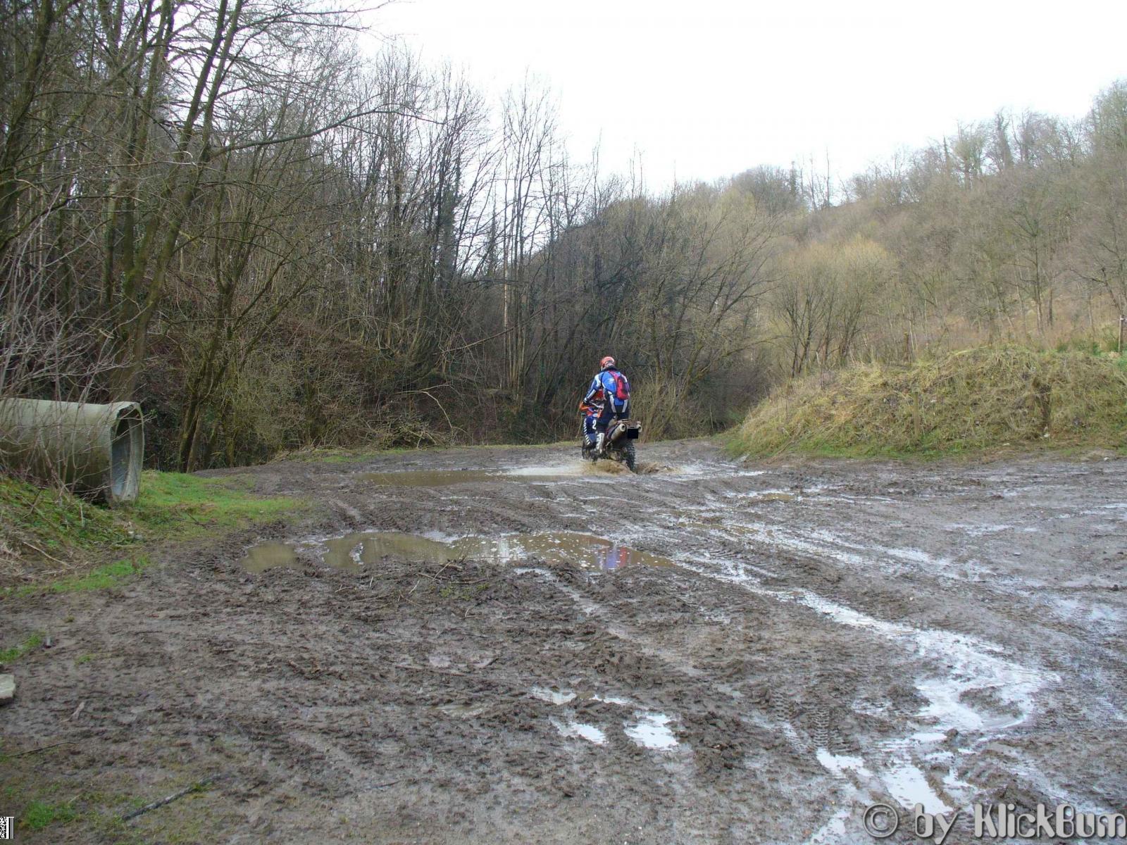 P1000153_1.jpg