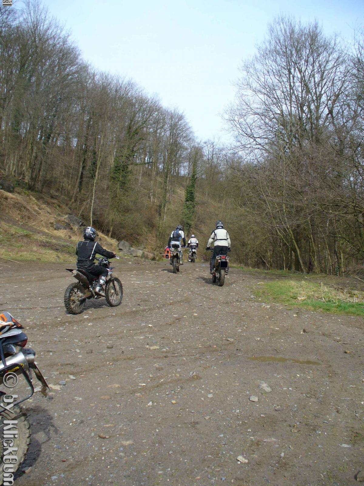 P1000174_1.jpg