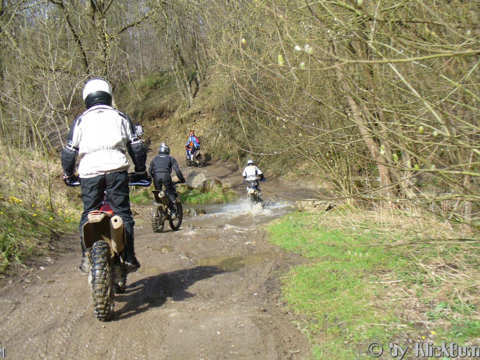 P1000264.JPG