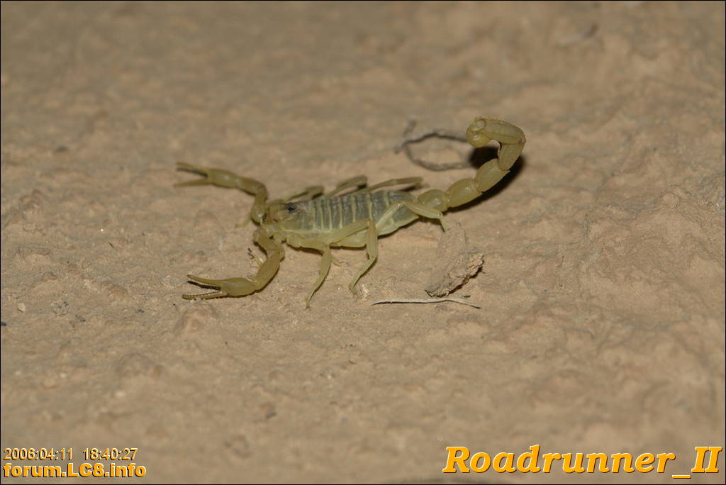 StarWars - Chott El Jerid - 084