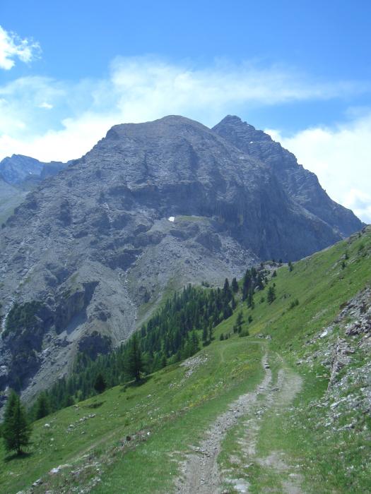 DSCI1793.JPG