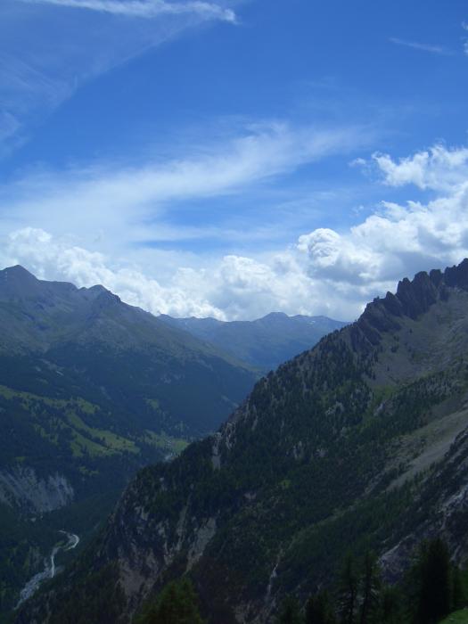 DSCI1794.JPG