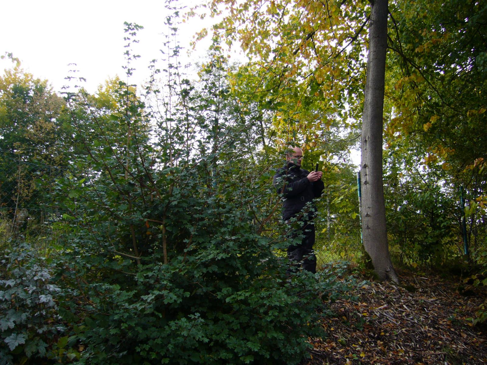 P1090076.JPG