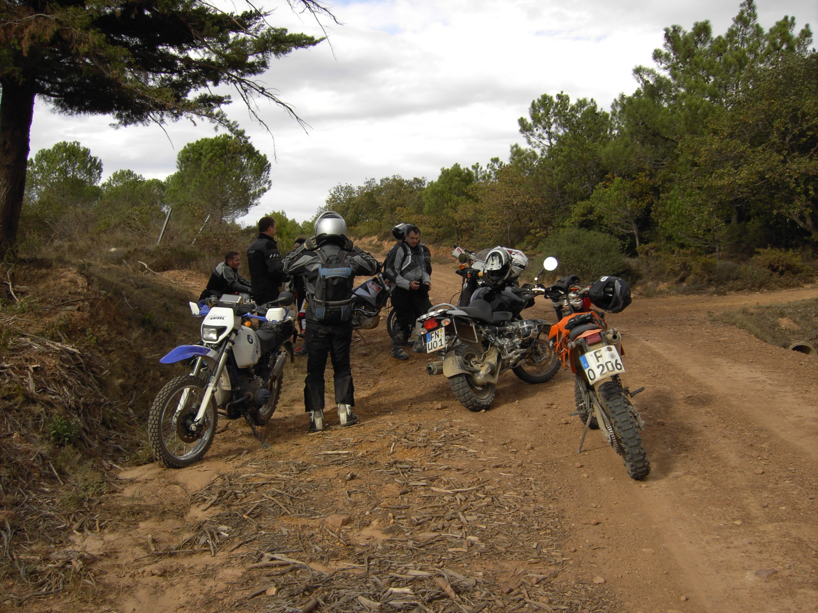moux2008 006.jpg