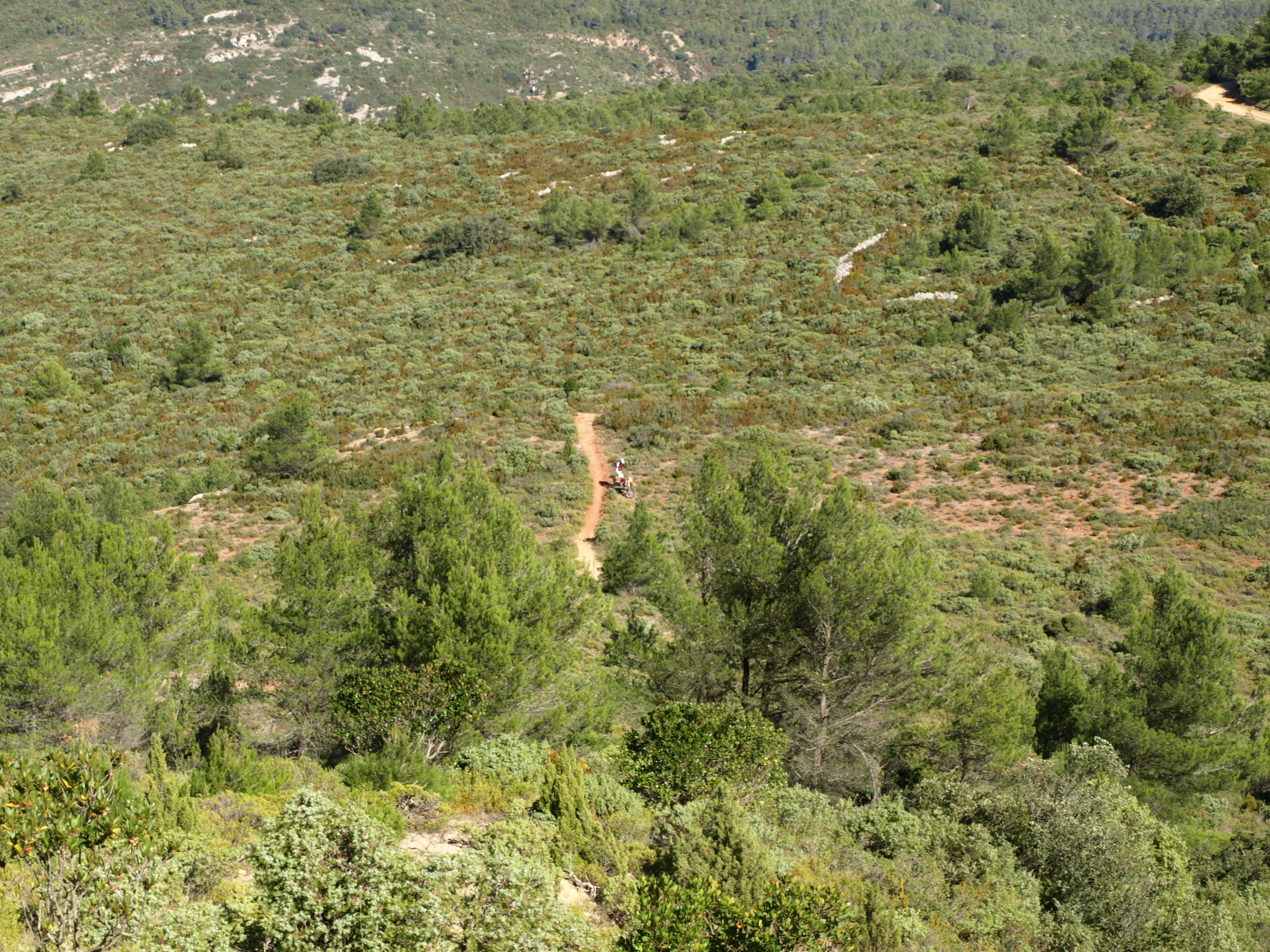 moux2008 078.jpg