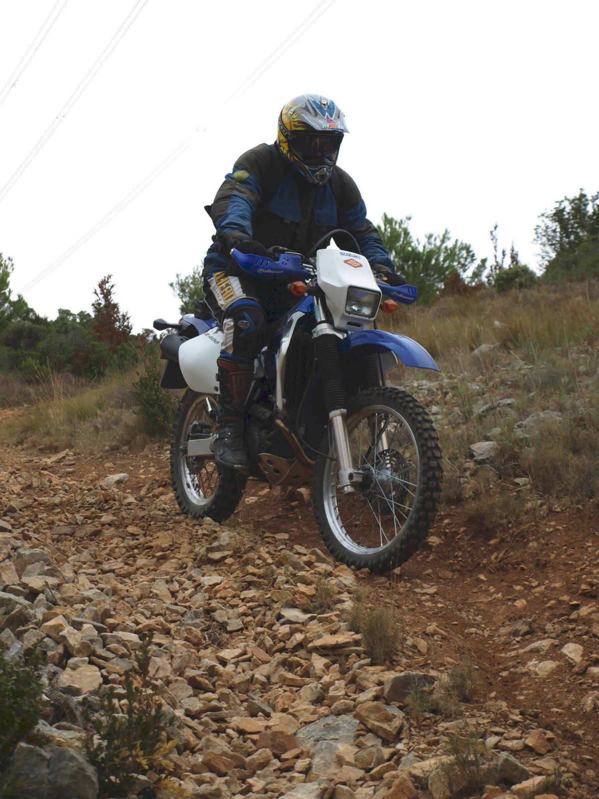 moux2008 120.jpg