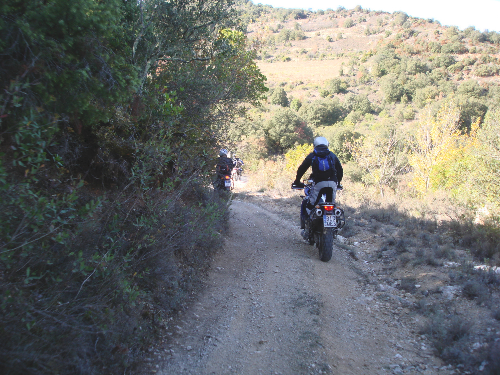 moux2008 153.jpg