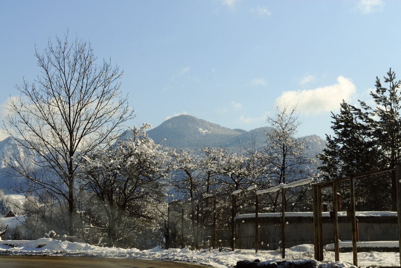 Karpaten--20090214-1048-01.jpg