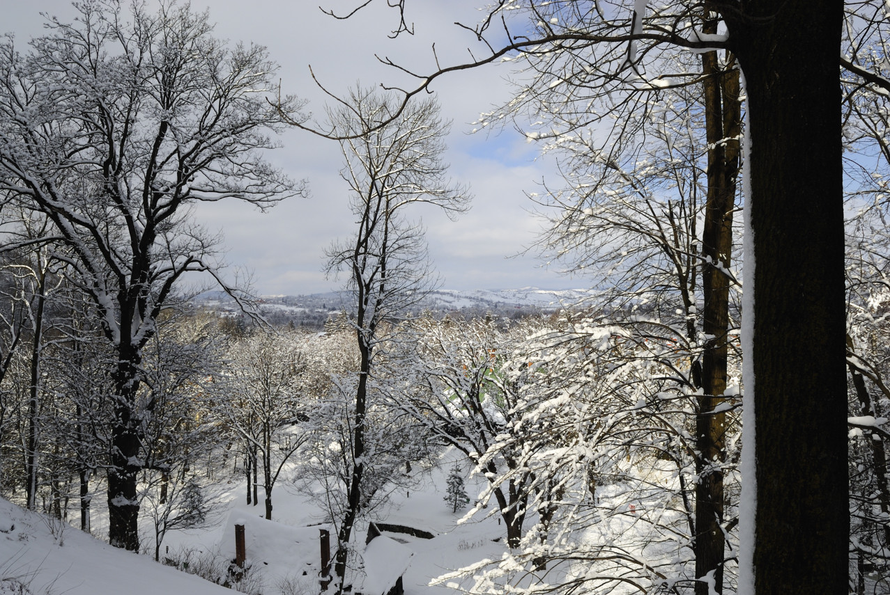 Karpaten--20090214-1212-01.jpg