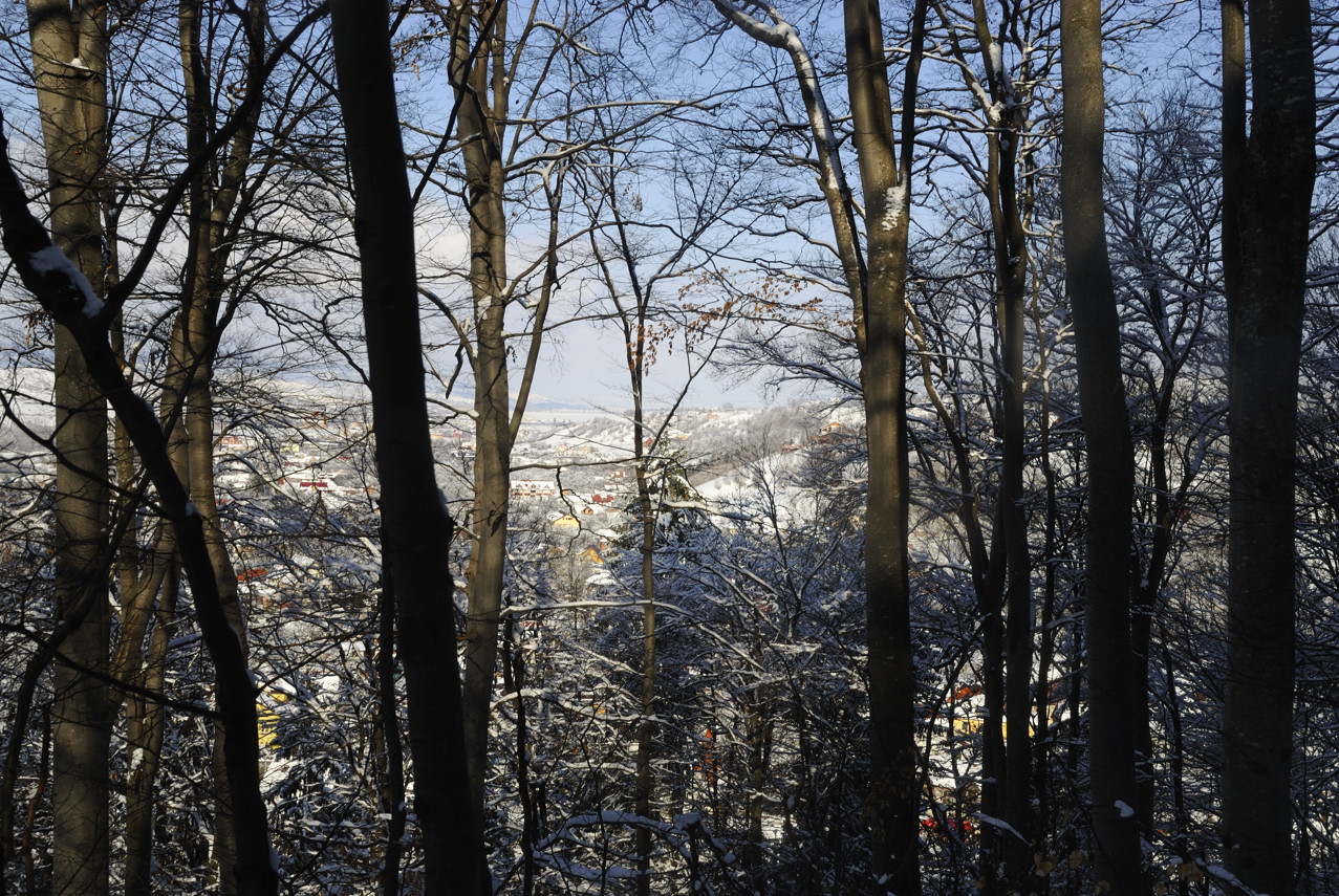Karpaten--20090214-1258-01.jpg
