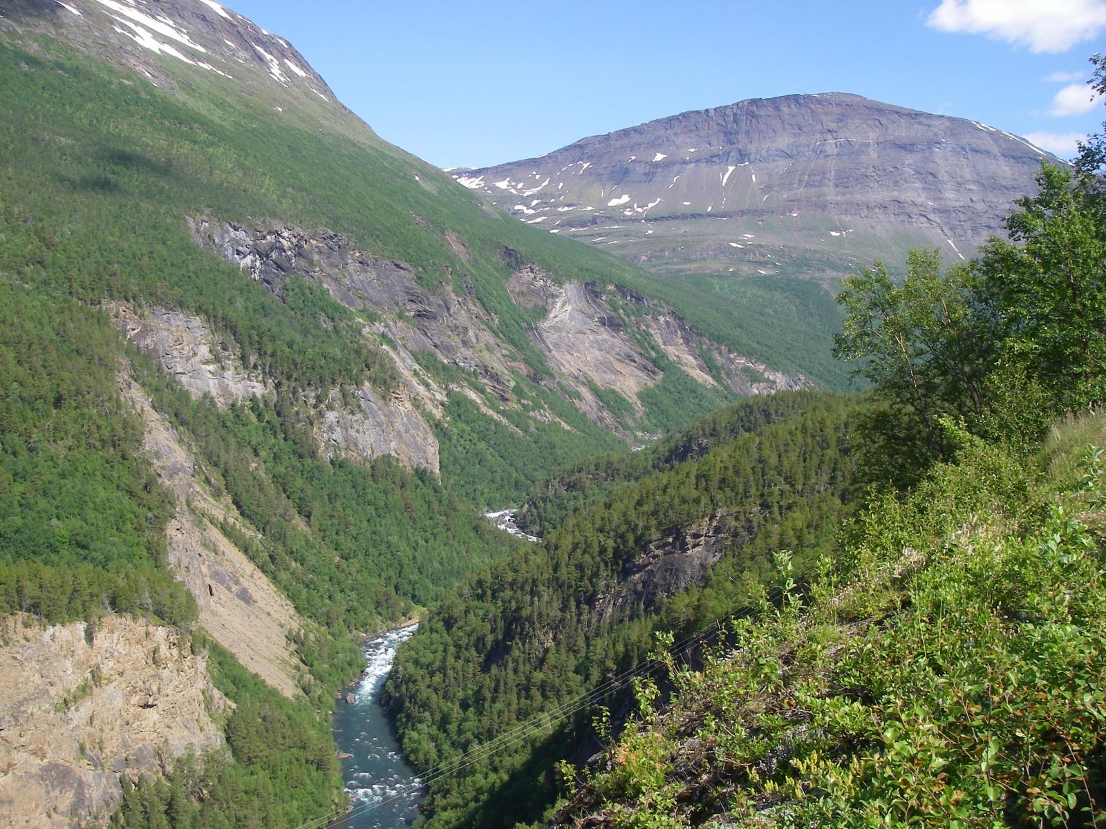 133.JPG