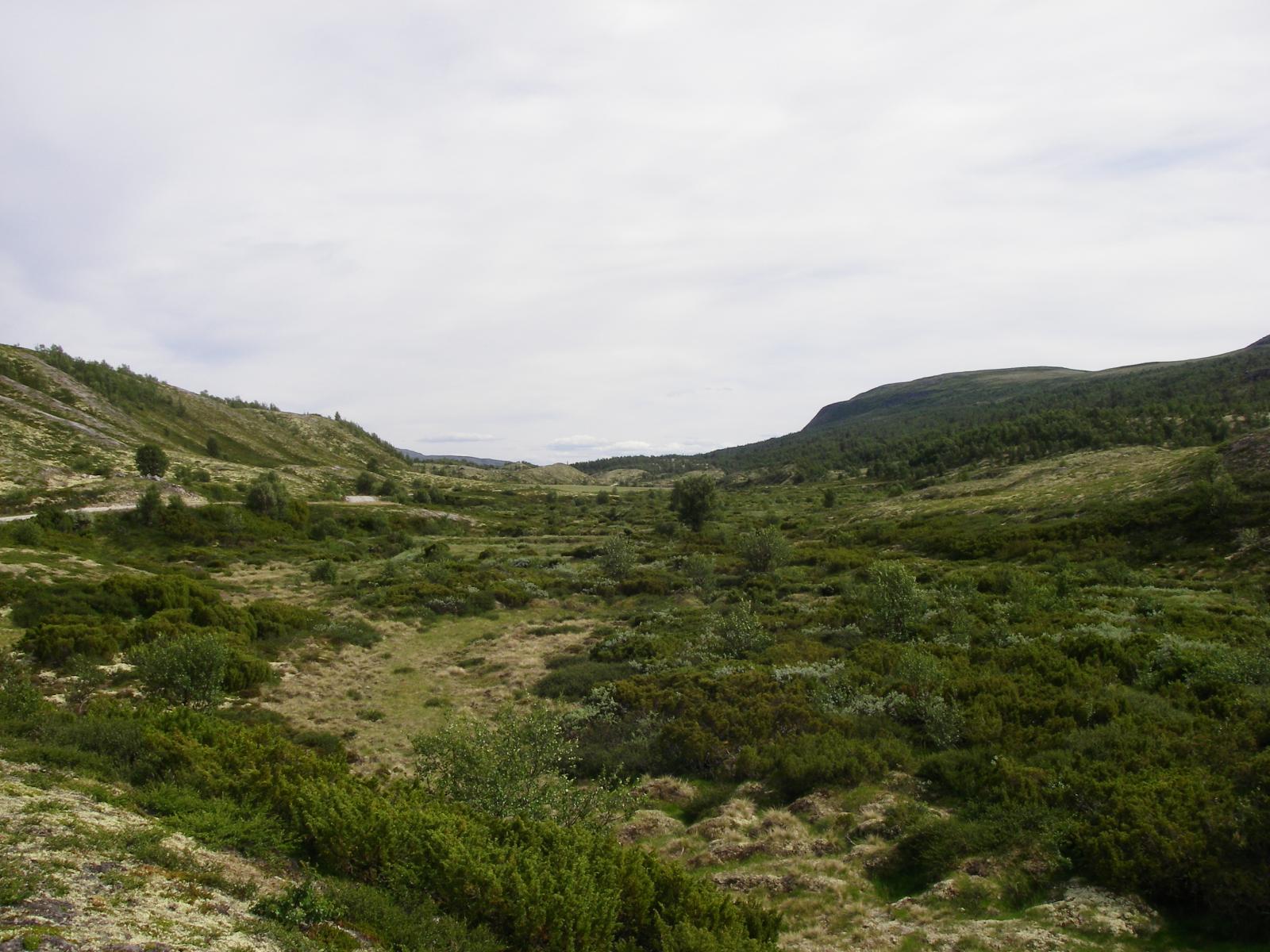 145.JPG