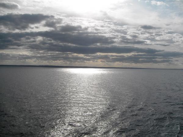 SDC12275_small.jpg