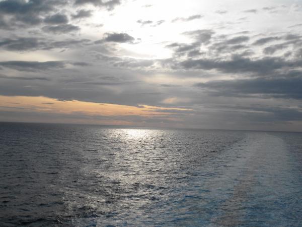 SDC12287_small.jpg