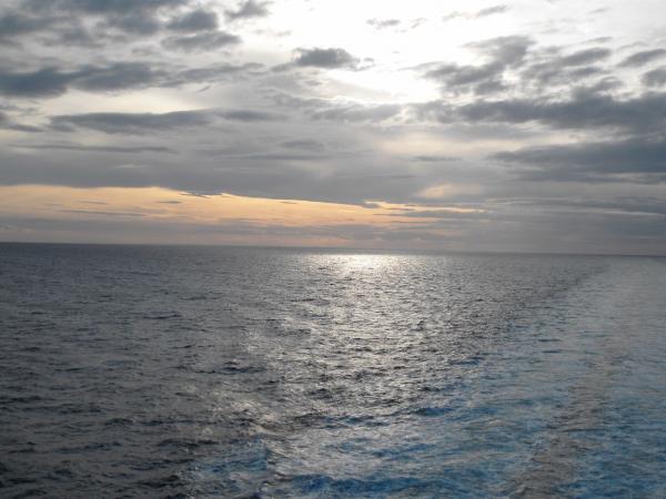 SDC12290_small.jpg