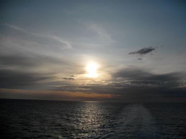 SDC12299_small.jpg