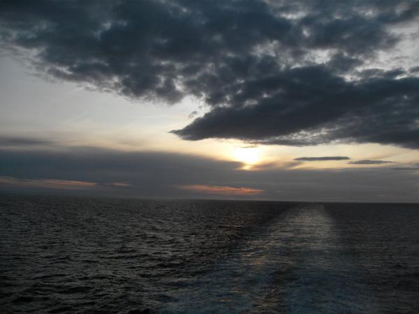 SDC12305_small.jpg
