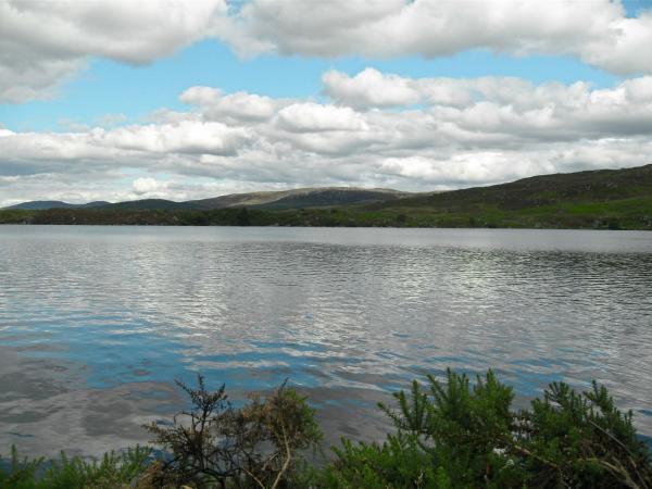 SDC11217.JPG