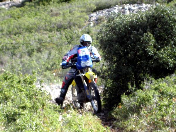 img_3890.jpg