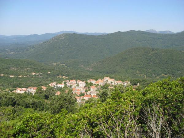 201006260945IMG_2567.JPG