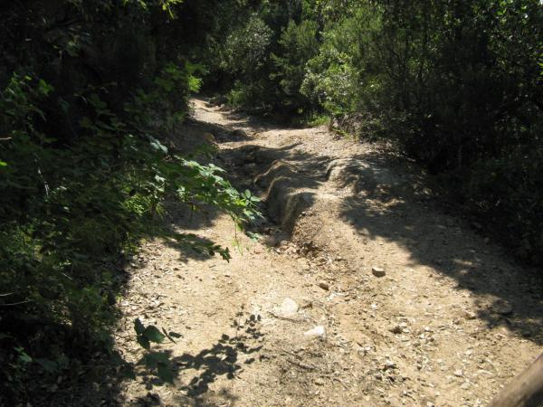 201006281513IMG_2581.JPG