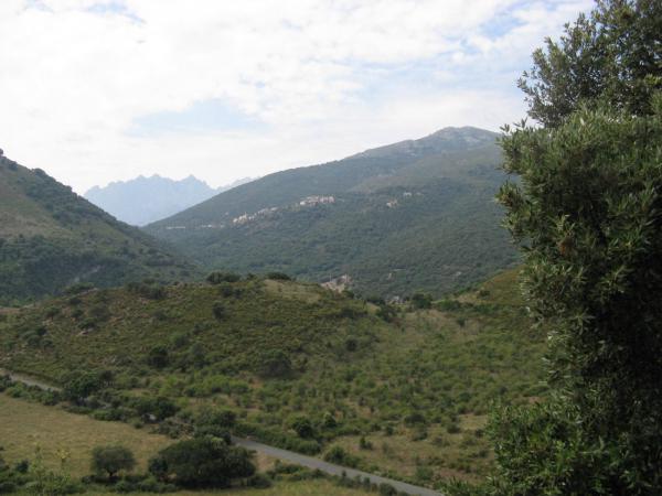 201006300940IMG_2591.JPG