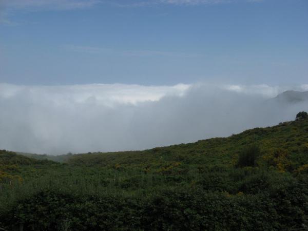 201006301018IMG_2592.JPG
