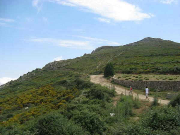 201006301018IMG_2593.JPG