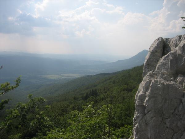 IMG_1727.jpg