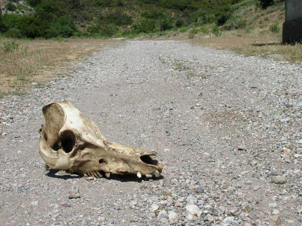 Sardinien 2006 - 031