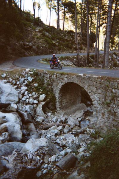 k5.jpg