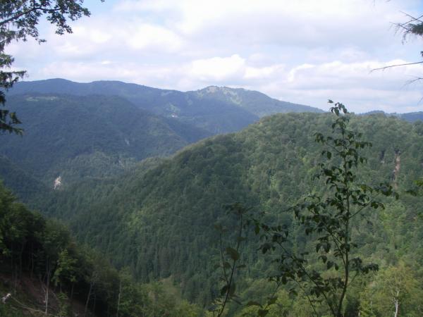 Slovenien 264.JPG