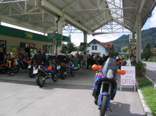 4.LC8.info_zwiebelfisch_012.JPG