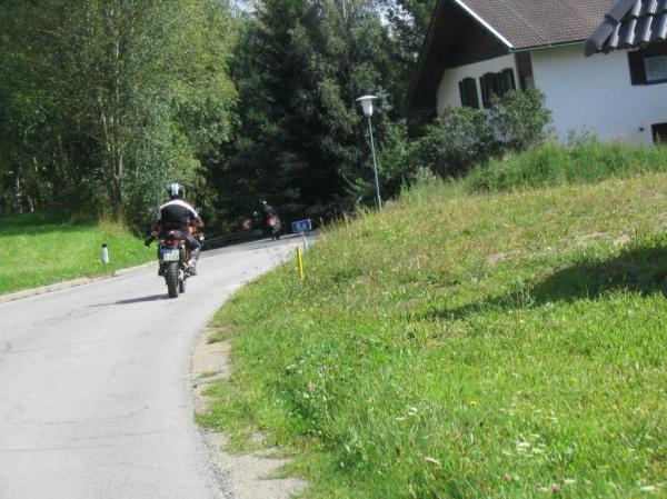 4.LC8.info_zwiebelfisch_068.JPG