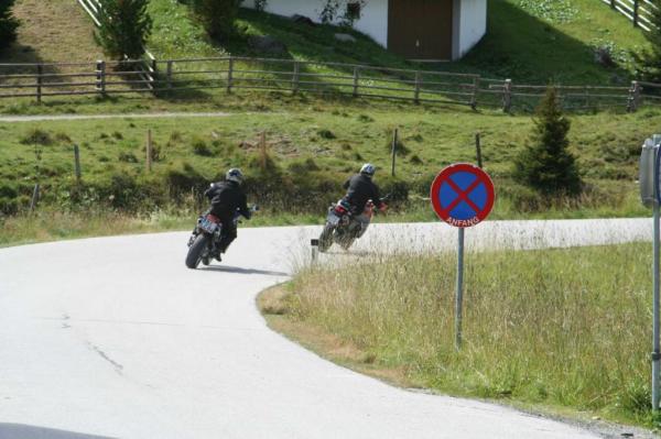 4.LC8.info_Brieftaube_100.JPG