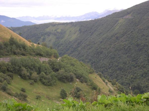 Natur pur