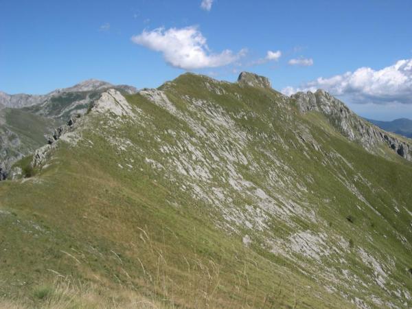LGKS Raid 2006 235.jpg