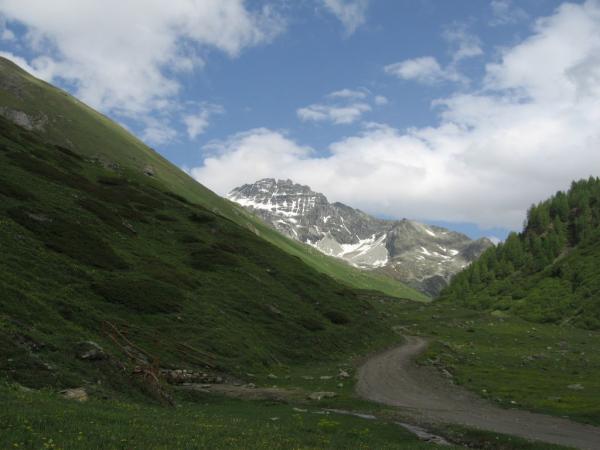 20060618-163812-PF.JPG