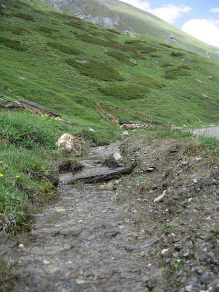 20060618-163900-PF.JPG